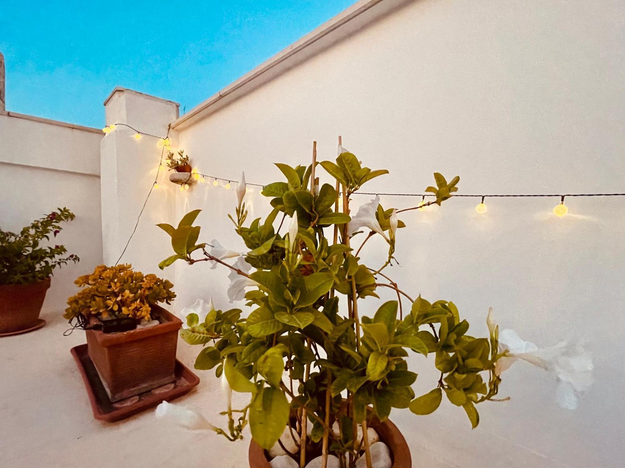Le Nicchie Villa Bisceglie Bagian luar foto
